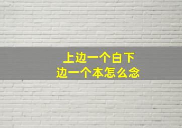 上边一个白下边一个本怎么念