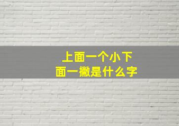 上面一个小下面一撇是什么字