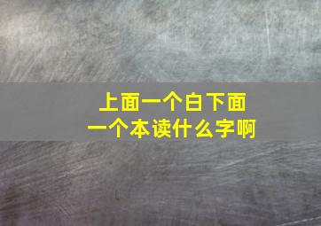 上面一个白下面一个本读什么字啊