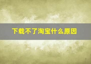 下载不了淘宝什么原因