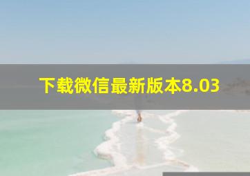 下载微信最新版本8.03