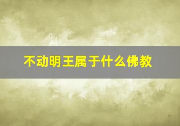 不动明王属于什么佛教