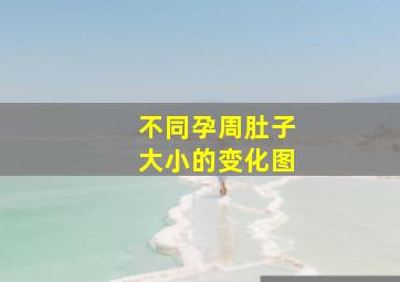 不同孕周肚子大小的变化图