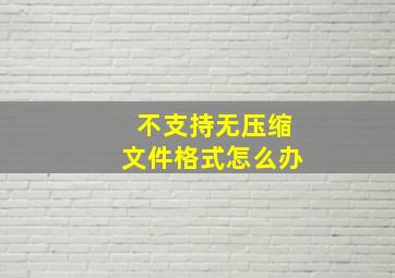 不支持无压缩文件格式怎么办