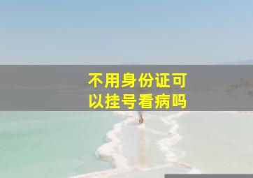 不用身份证可以挂号看病吗