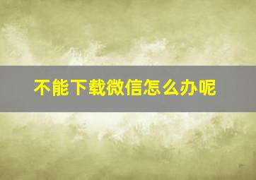 不能下载微信怎么办呢