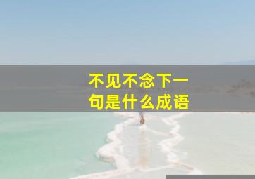 不见不念下一句是什么成语