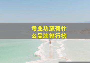 专业功放有什么品牌排行榜