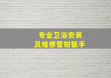 专业卫浴安装及维修管钳钣手