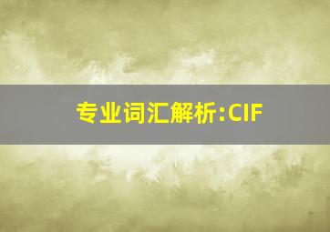 专业词汇解析:CIF