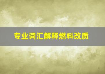 专业词汇解释燃料改质