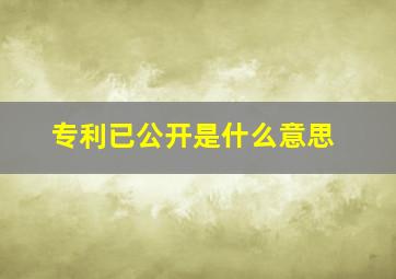 专利已公开是什么意思