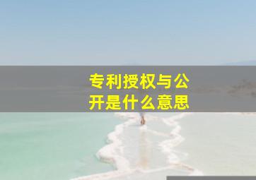 专利授权与公开是什么意思