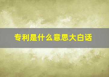 专利是什么意思大白话