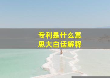 专利是什么意思大白话解释