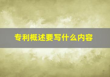 专利概述要写什么内容