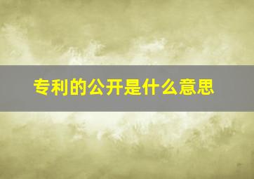 专利的公开是什么意思