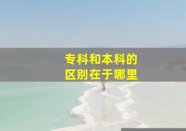 专科和本科的区别在于哪里