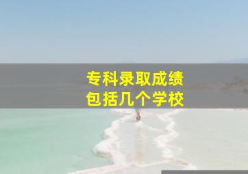 专科录取成绩包括几个学校