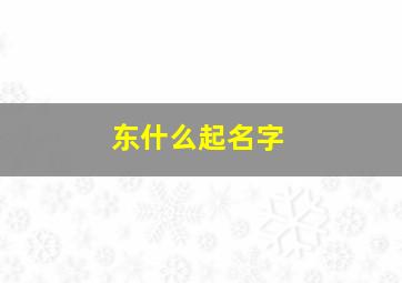 东什么起名字