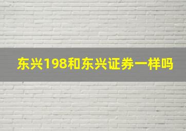 东兴198和东兴证券一样吗