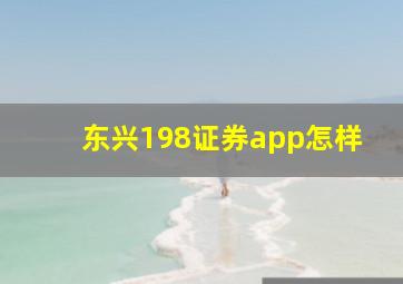 东兴198证券app怎样