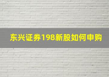 东兴证券198新股如何申购