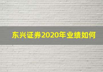 东兴证券2020年业绩如何