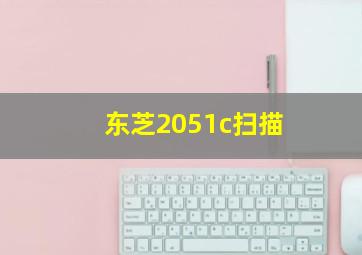 东芝2051c扫描