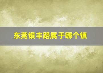 东莞银丰路属于哪个镇