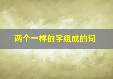 两个一样的字组成的词