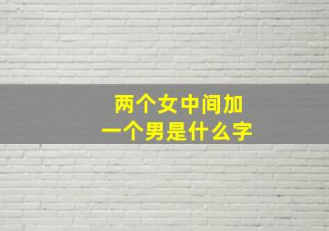 两个女中间加一个男是什么字