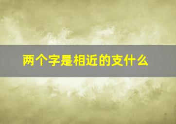 两个字是相近的支什么