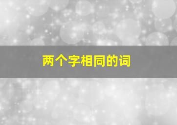 两个字相同的词