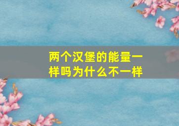 两个汉堡的能量一样吗为什么不一样