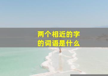 两个相近的字的词语是什么