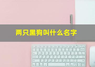 两只黑狗叫什么名字