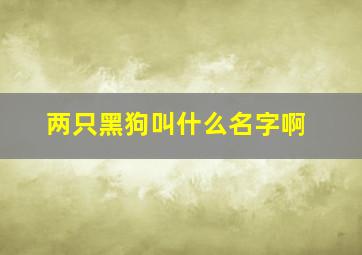 两只黑狗叫什么名字啊