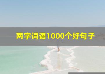 两字词语1000个好句子