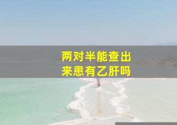 两对半能查出来患有乙肝吗