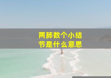 两肺数个小结节是什么意思