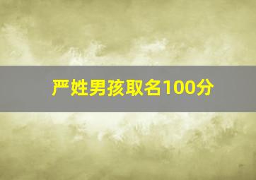 严姓男孩取名100分