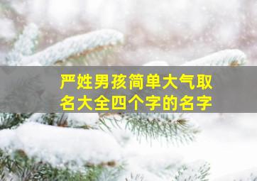 严姓男孩简单大气取名大全四个字的名字