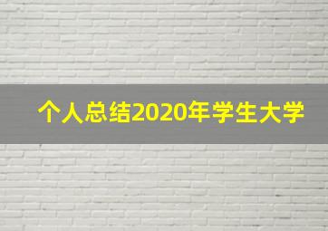 个人总结2020年学生大学