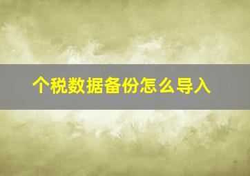 个税数据备份怎么导入