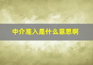 中介准入是什么意思啊