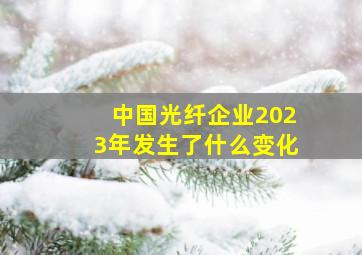 中国光纤企业2023年发生了什么变化