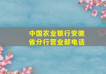 中国农业银行安徽省分行营业部电话