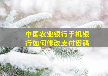 中国农业银行手机银行如何修改支付密码