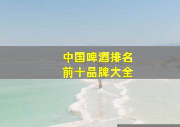 中国啤酒排名前十品牌大全